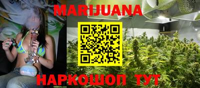 индика Нальчик