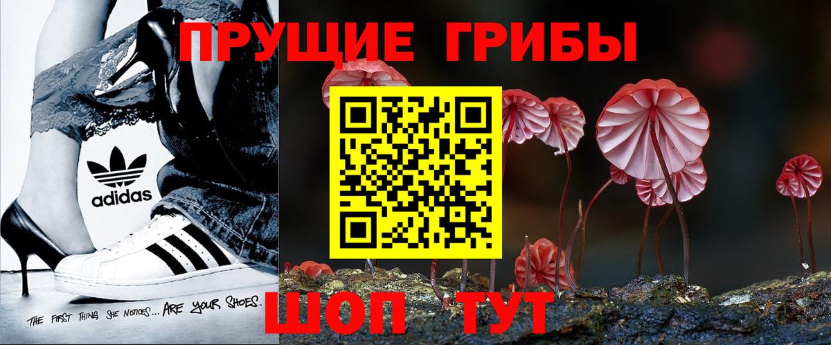 Галлюциногенные грибы Cubensis Тимашёвск