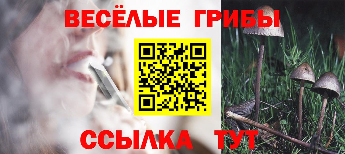 Псилоцибиновые грибы Cubensis  Вход с VPN  Тимашёвск 